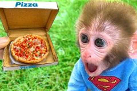 Monkey Baby Bon Bon eats pizza and the puppy drives the car to the farm to play with the chicks