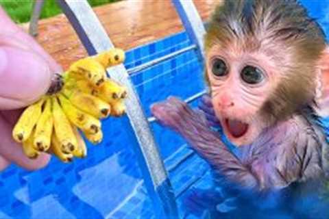 Monkey Baby Bon Bon picks bananas in the garden and swims with the rainbow Water Balls