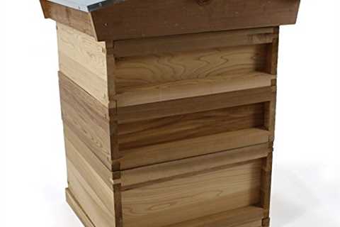 Easipet National Bee Hive with Gabled Roof in Cedar 266