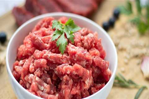 Where to buy raw dog food online?