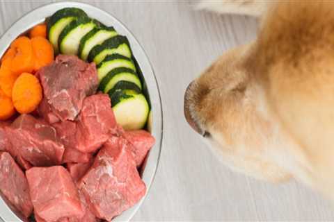 Is it better to feed dogs raw or cooked food?