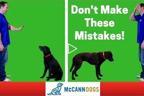 Teaching A Dog To Stay- 3 Common Mistakes - Professional Dog Training Tips