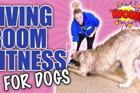 5 Tricks To Teach Your Dog That Will Exercise Them At Home!