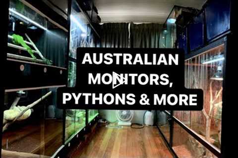 Australian Reptile Collection Tour