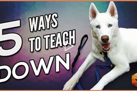 How to Teach a Dog to Lie Down - 5 Alternate Methods for All Dogs