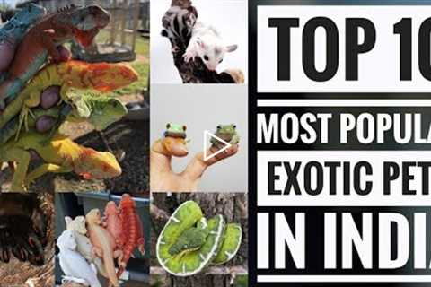 Top 10 Exotic Pets in India | #Exoticpets | Pets Formula - Tamil