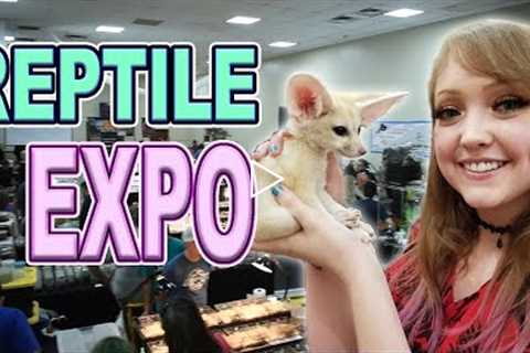 Foxes, Mantids, and Pythons, Oh My! - REPTILE EXPO #33