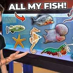 ALL MY FISH & RARE EXOTIC ANIMALS!!! (room tour)