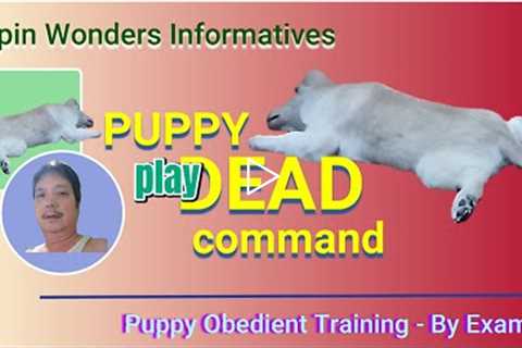 TEACH YOUR PUPPY PLAY DEAD COMMAND - BY EXAMPLE