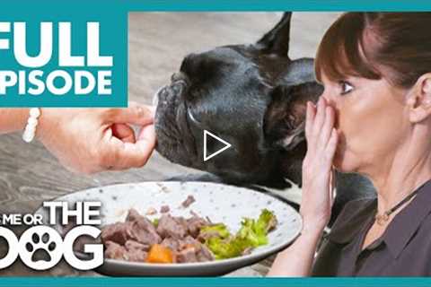 Pampered Frenchie is Hand-Fed Luxurious Food For Every Meal! | Full Episode | It's Me or the Dog