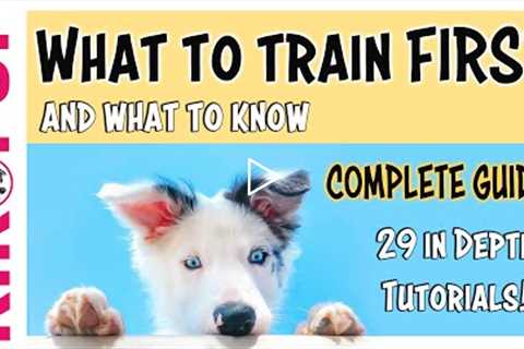 COMPLETE GUIDE to PUPPY TRAINING - What to train FIRST