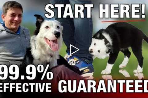 All Good Dog Trainers Know This Will Solve 99% of Problems Training Your Dog (It’s NOT EXERCISE!)