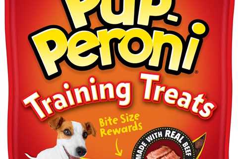 What You Need to Know About Treat Training Dogs