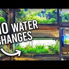 Partial Water Changes – a possible FAILURE