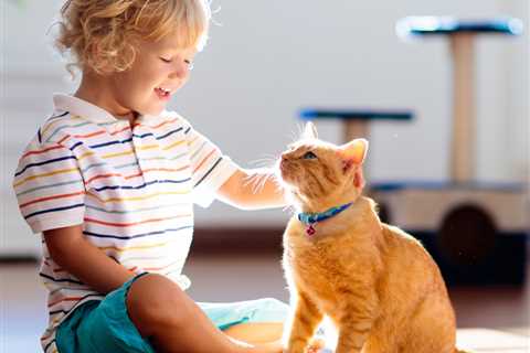 5 Tips for Living with Cats and Kids