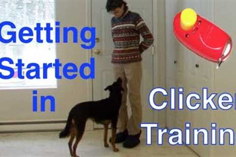 Getting Started with Clicker Training-Basic Technique Tutorial  for Beginners #markertraining