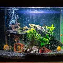 How do I test the water parameters in my fish tank?