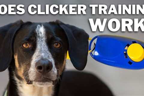 Clicker Training: Will It Work For Every Dog? #69