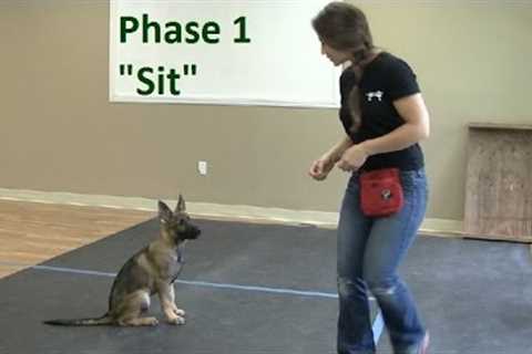 How to Train a Dog to Sit (K9-1.com)