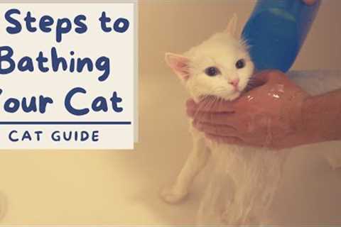 How to Bathe your Cat that Hates Water (6 Step Tutorial) | The Cat Butler