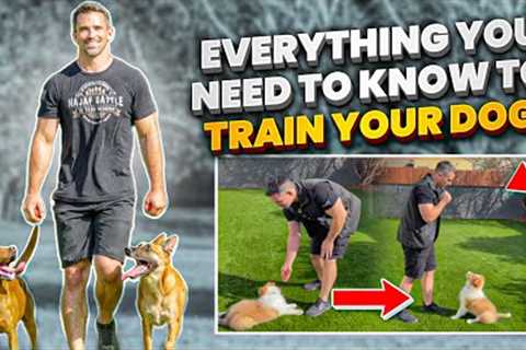 Master Dog Training: The Proven Scientific Approach