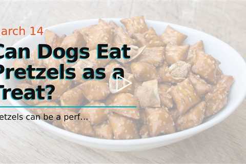 Can Dogs Eat Pretzels as a Treat?