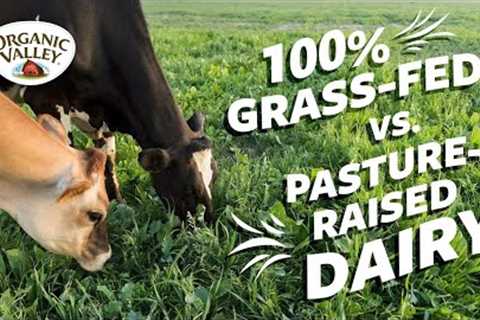 Is 100% Grass-fed milk different than Pasture Raised milk? | Ask Organic Valley