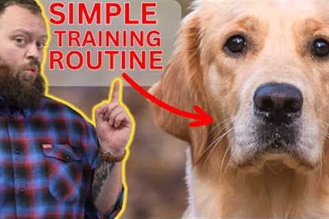 This Dog Training Secret Will Guarantee Perfect Dogs At Home
