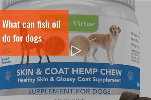 What can fish oil do for dogs
