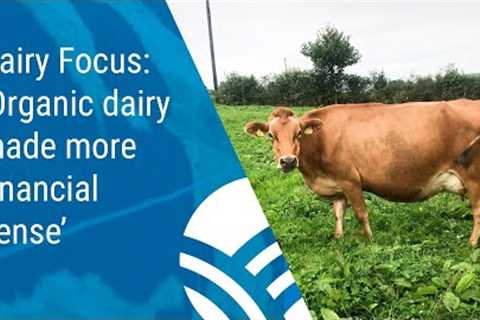 Dairy Focus: ‘Organic dairy made more financial sense’