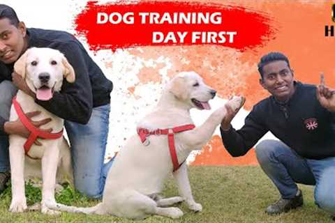 Labrador Puppy Training - Day 1st || Training Session For Beginners in Hindi || ALEXA THE LABRADOR