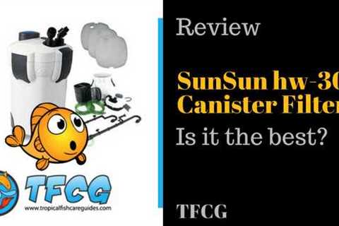 SunSun Canister Filter Review – Is This The Best Filter For The Money?