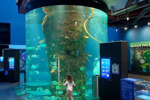 Travel: The Aquarium at Moody Gardens, Galveston TX