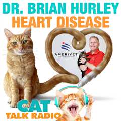 Feline Heart Disease with Dr. Brian Hurley