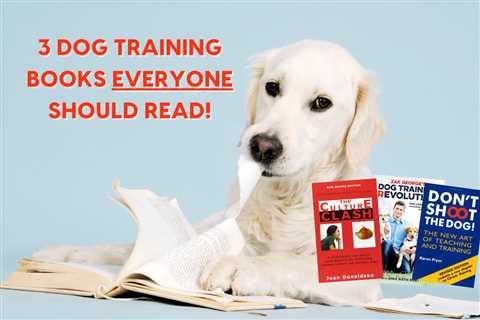 Clicker Training Books Are a Great Way to Train Your Dog