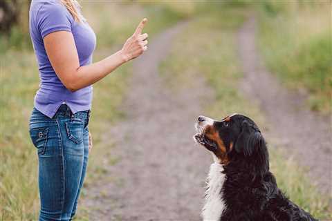 Hand Signals For Dogs