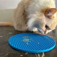 What’s a Lick Mat & Does It Help Cats? Pros, Cons & FAQ