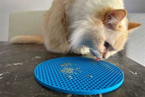 What’s a Lick Mat & Does It Help Cats? Pros, Cons & FAQ