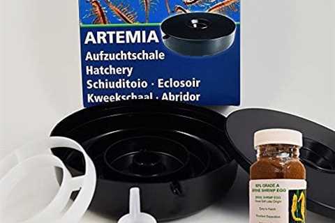 Product Review: Hobby Artemia Hatchery