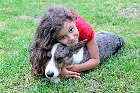 Are Corgis Good With Kids? 5 Dangers and 3 Tips