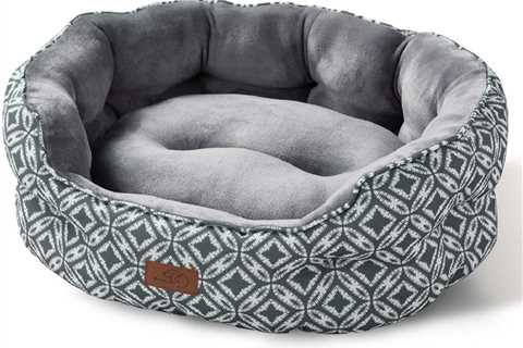 15 Best Dog Beds For Your Corgi