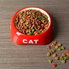 The History of Commercial Pet Food: Invention & Timeline