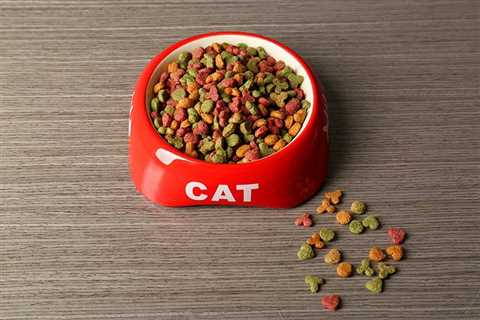 The History of Commercial Pet Food: Invention & Timeline