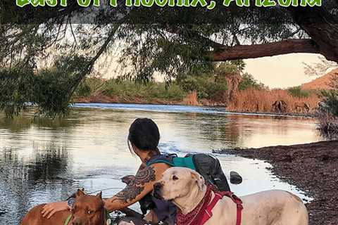 Dog Friendly Hiking Near Phoenix