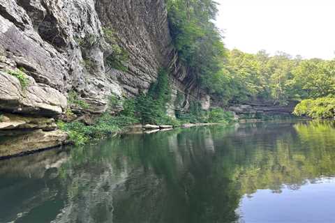 Protecting Alabama’s Ancient Wild Legacy in the Bankhead PARCA