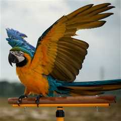 How Many Parrots Are Killed by Wind Turbines & Where ~ a Deep Dive