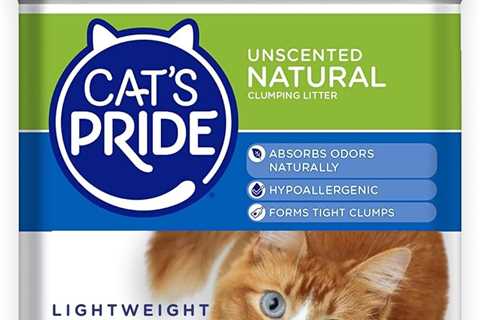 Cat’s Pride Lightweight Clumping Litter Review: Odor Control Power!