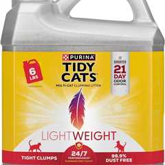 Purina Tidy Cats Light Weight Review: 24/7 Performance Magic