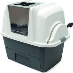 Catit Smartsift: A Purr-fect Litter Box Review