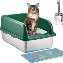 Stainless Steel Cat Litter Box Review: A Feline Game-Changer